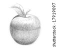 sketched apple