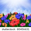 Colorful+daisies+background