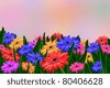 Colorful+daisies+background