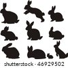 vector bunnies