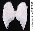 Digital Angel Stock